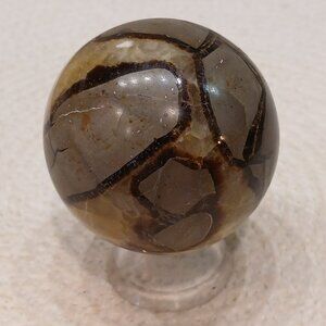 Polished Septarian Sphere - 53mm